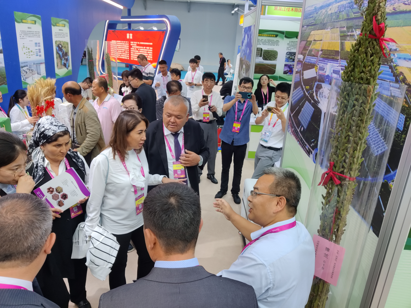 说明: //hghmcn.com/__local/D/F6/4A/3E76EBCE6770F152EC27289137C_CF625677_70A01E.png